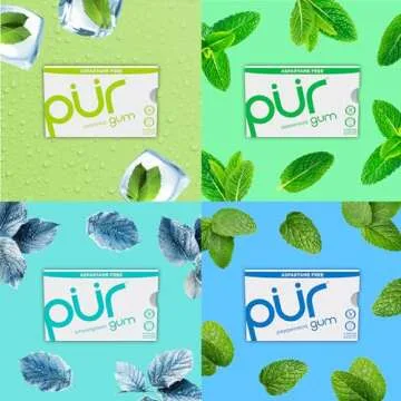 PUR Gum | Aspartame Free Chewing Gum | 100% Xylitol | Natural Flavored Gum, Variety Pack, 9 Pieces (Pack of 8)