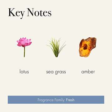 LAFCO New York Signature Reed Diffuser, Sea & Dune - 15 oz - Up to 9 Months Fragrance Life - Reusable, Hand Blown Glass Vessel - Natural Wood Reeds - Made in The USA