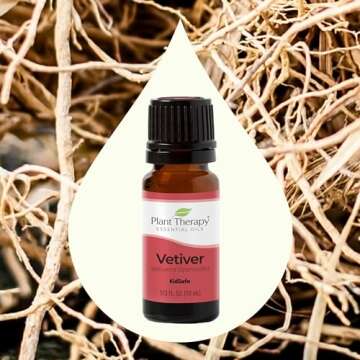 Plant Therapy Vetiver Essential Oil 100% Pure, Undiluted, Natural Aromatherapy, Therapeutic Grade 10 mL (1/3 oz)