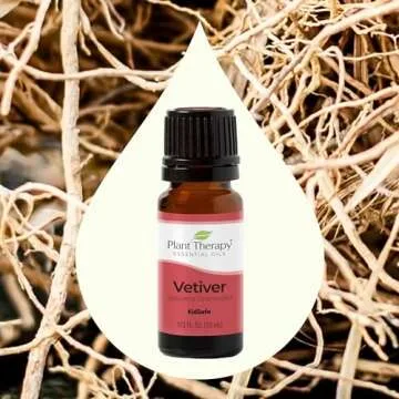 Plant Therapy Vetiver Essential Oil 100% Pure, Undiluted, Natural Aromatherapy, Therapeutic Grade 10 mL (1/3 oz)