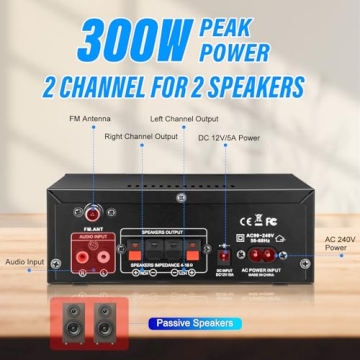 Daakro AK45 300W Bluetooth Audio Amplifier System