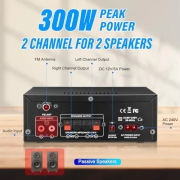 Daakro AK45 300W Bluetooth Audio Amplifier System