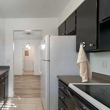 SENLIXIN Kitchen Towel Hook - Stylish and Practical