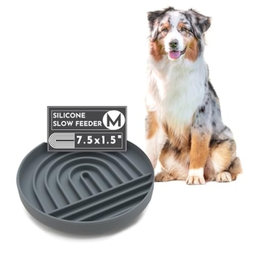 Should We Go? Slowdown Bowl - Stylish Silicone Dog Feeder