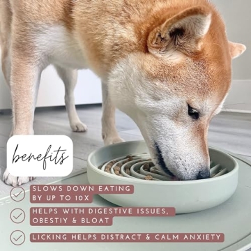 Should We Go? Slowdown Bowl - Stylish Silicone Dog Feeder