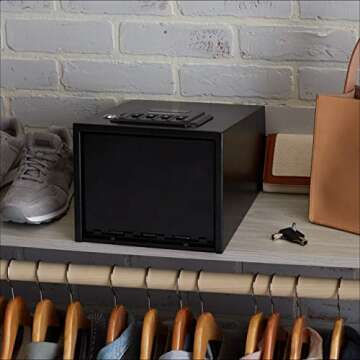 Amazon Basics Firearm Safety Device with Keypad Lock