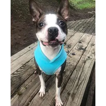 Gooby Fleece Vest Dog Sweater - Turquoise, Large - Warm Pullover Fleece Dog Jacket with O-Ring Leash - Winter Small Dog Sweater Coat - Cold Weather Dog Clothes for Small Dogs Boy or Girl