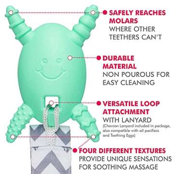 Baby Must Haves - Teething Egg Mint Green Bundle Baby Rattle Teether Toys, Development Toys for 3 Months up to 18 Months, Infant Sensory Toys, 6 Month Old Baby Essentials