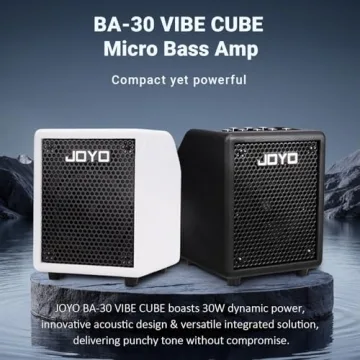 Joyful Sound on the Go: JOYO 30W Vibe Cube Micro Bass Amp