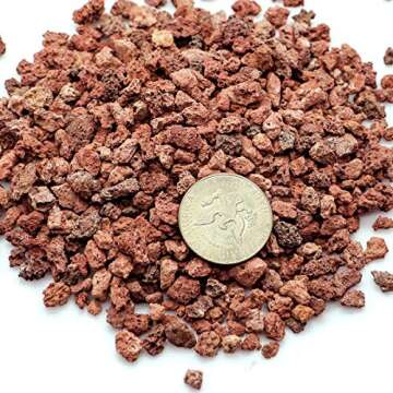TOYPOPOR Red Lava Accent Rocks Outdoor Decorative Stones for Craft Projects, Vase Fillers, Succulents, Cactus Pots, Terrarium Plants 2.2LB