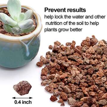 TOYPOPOR Red Lava Accent Rocks Outdoor Decorative Stones for Craft Projects, Vase Fillers, Succulents, Cactus Pots, Terrarium Plants 2.2LB