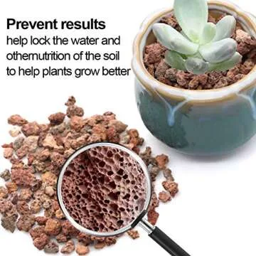 TOYPOPOR Red Lava Accent Rocks Outdoor Decorative Stones for Craft Projects, Vase Fillers, Succulents, Cactus Pots, Terrarium Plants 2.2LB