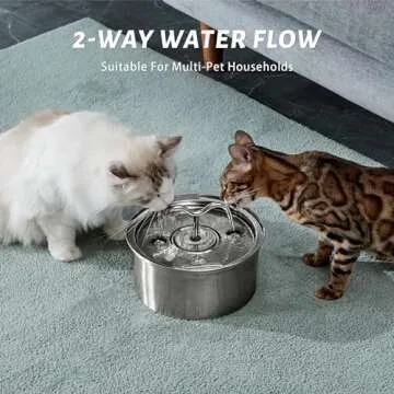 DOOOB 3.2L Cat Water Fountain - Ultimate Hydration Solution
