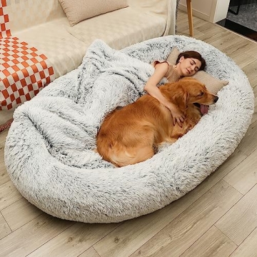Large Dog Bed for You and Your Pet's Comfort