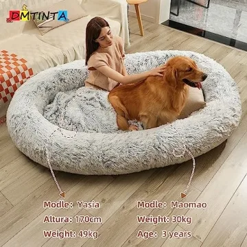 Large Dog Bed for You and Your Pet's Comfort