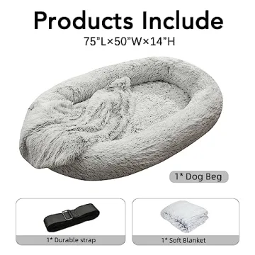 Large Dog Bed for You and Your Pet's Comfort