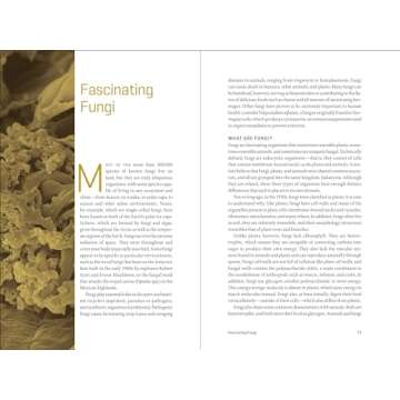 Teaming with Fungi: Guide to Mycorrhizae for Gardeners