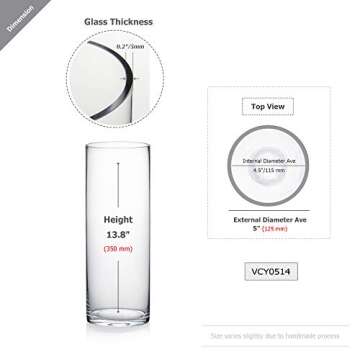 WGV Cylinder Vase, Diameter 5", Height 14", Clear Glass Floral Planter Container, Tall Centerpiece A...