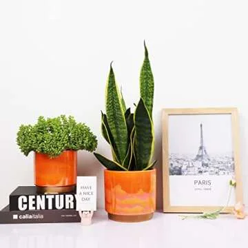 Gepege Rainbow Pearl Glaze Planter Pots with Drain Holes