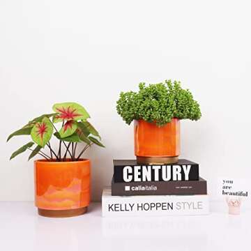 Gepege Rainbow Pearl Glaze Planter Pots with Drain Holes