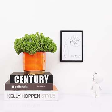 Gepege Rainbow Pearl Glaze Planter Pots with Drain Holes