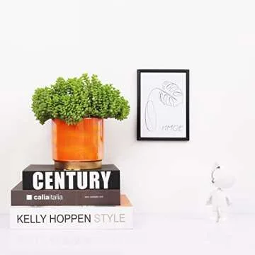 Gepege Rainbow Pearl Glaze Planter Pots with Drain Holes