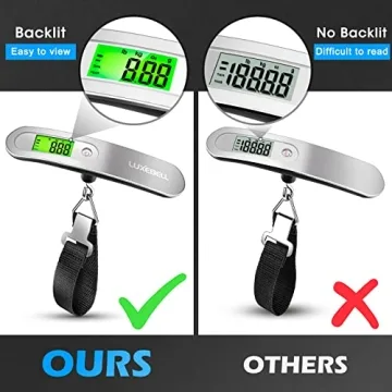 Digital Luggage Scale Gift for Traveler Suitcase Handheld Weight Scale 110lbs Silver