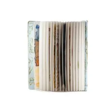 Savior: The Story of Jesus Christ - Perfect Children’s Book Gift