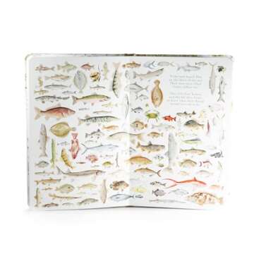 Savior: The Story of Jesus Christ - Perfect Children’s Book Gift