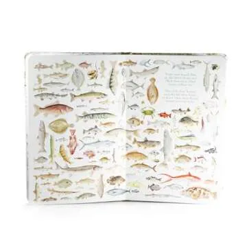 Savior: The Story of Jesus Christ - Perfect Children’s Book Gift