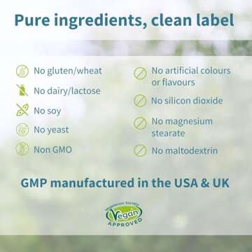 Igennus Neurobalance, High Absorption Chelated Zinc Picolinate 24mg, Magnesium & Vitamin B6, Brain, Sleep & Immune, Magnesium Stearate and Oxide-Free, Non-GMO, 240 Tablets