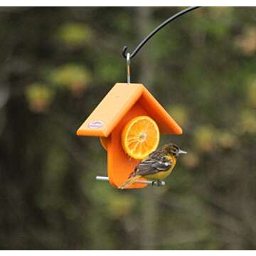 Kettle Moraine Recycled Single Oriole Orange Fruit Feeder