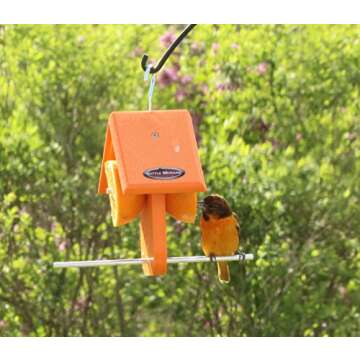 Kettle Moraine Recycled Single Oriole Orange Fruit Feeder