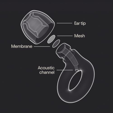 Loop Experience 2 Ear Plugs for Music Festivals & Concerts