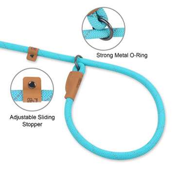 Slip Lead Dog Leash – Flexible & Reflective 5FT Leash