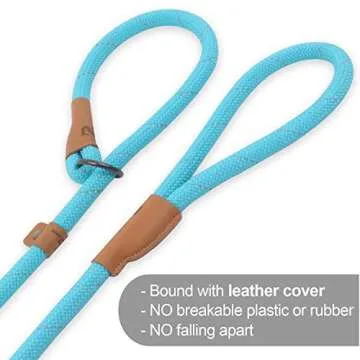 Slip Lead Dog Leash – Flexible & Reflective 5FT Leash
