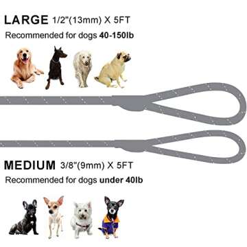 Slip Lead Dog Leash – Flexible & Reflective 5FT Leash