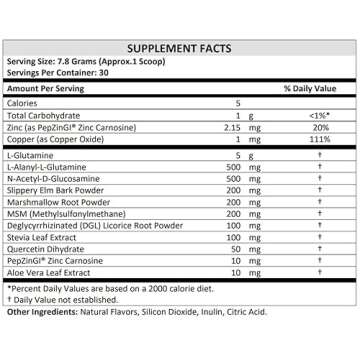 TERRA ORIGIN Healthy Gut Peach Banana | 30-Servings with L-Glutamine, Zinc, Glucosamine, Slippery Elm Bark, Marshmallow Root and More!