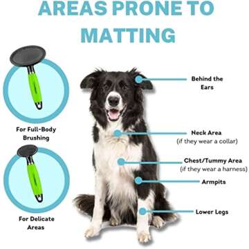 CONAIRPRO Dog & Cat Dog Brush for Shedding, Small Slicker Brush with Reinforced Metal Tips, Ideal for Smaller Breeds Green