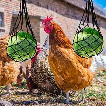 Sfcddtlg 4PCS Xylophone Chicken Toy-Chicken Veggies Skewer Fruit Holder-Stainless Steel Hanging Feeder Toy for Hens Chicken Pet Treating Tool(4pcs)