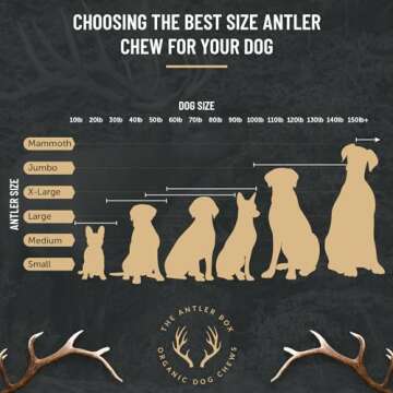Premium Natural Elk Antler Dog Chews - 1 Pound Box