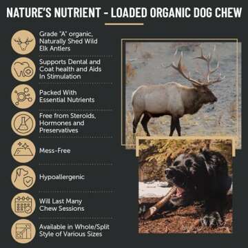 Premium Natural Elk Antler Dog Chews - 1 Pound Box