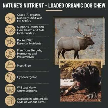 Premium Natural Elk Antler Dog Chews - 1 Pound Box