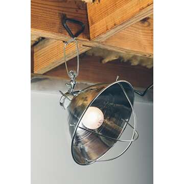 Woods Clamp Lamp with 10 Inch Reflector and Bulb Guard (300 Watt Bulb, 6 Foot Cord)