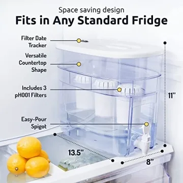 Invigorated Alkaline Water Machine - Countertop Filter Dispenser