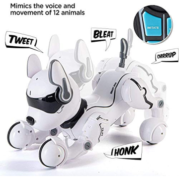 Top Race Robot Dog for Kids - Interactive & Programmable Fun