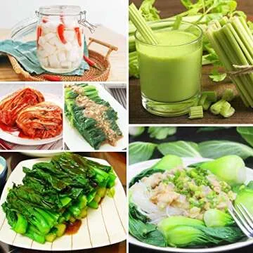 2000+ Organic Vegetable Seeds - 6 Varieties for Planting