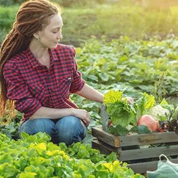 2000+ Organic Vegetable Seeds - 6 Varieties for Planting