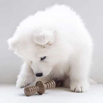 Benebone Puppy 2-Pack Maplestick/Zaggler Durable Dog Chew Toys for Gentle Chewers, Real Bacon, Real ...