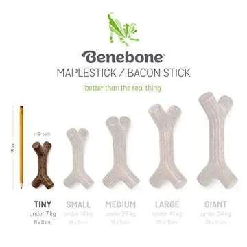 Benebone Puppy Toys 2-Pack Real Bacon Durable Chew